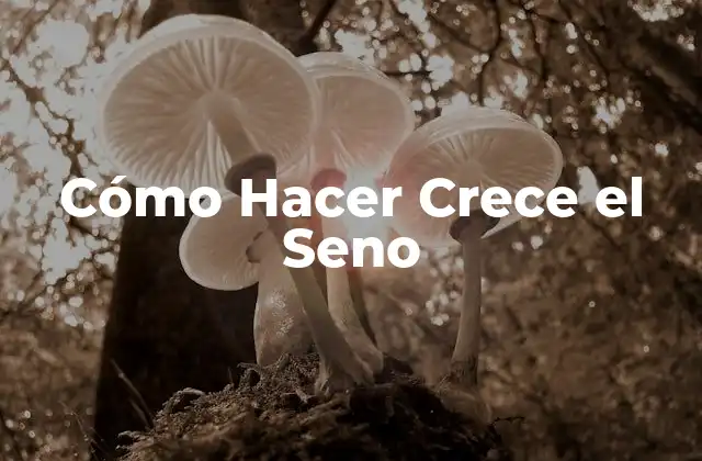 Cómo Hacer Crece el Seno 2 Cómo Hacer Crece el Seno