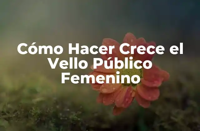 Cómo Hacer Crece el Vello Público Femenino