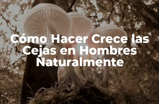 Cómo Hacer Crece las Cejas en Hombres Naturalmente