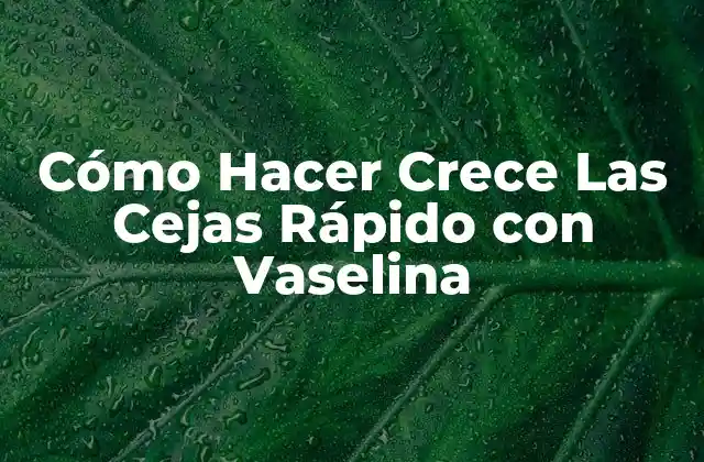 Cómo Hacer Crece las Cejas Rápido con Vaselina 2 Cómo Hacer Crece Las Cejas Rápido con Vaselina