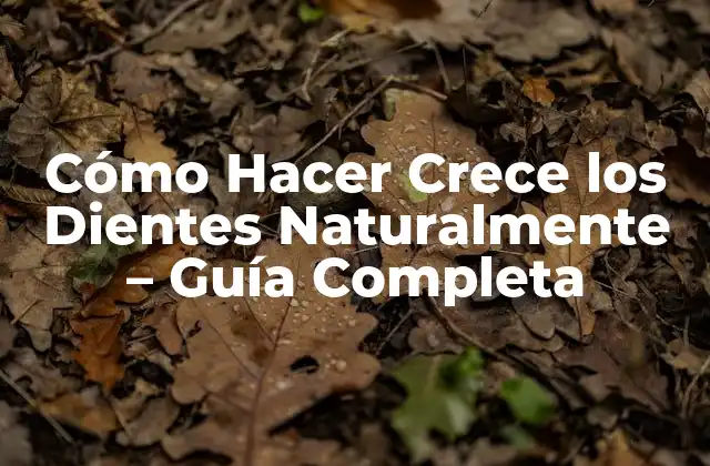 ¿Qué influye en el crecimiento de los dientes?