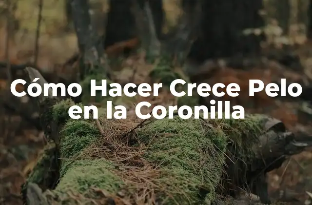 Cómo Hacer Crece Pelo en la Coronilla