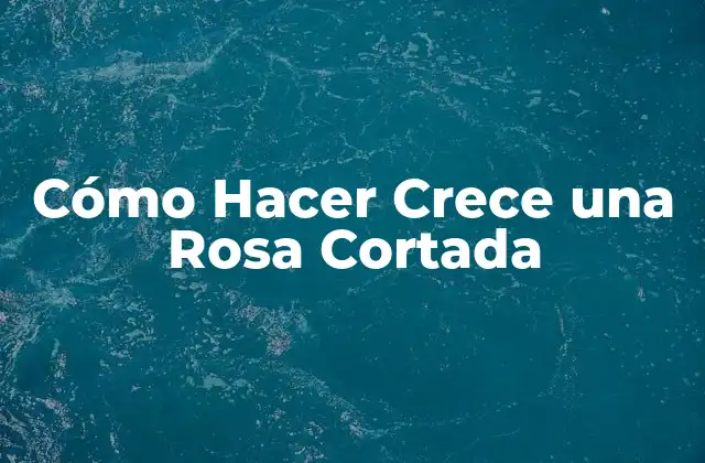 Cómo Hacer Crece una Rosa Cortada