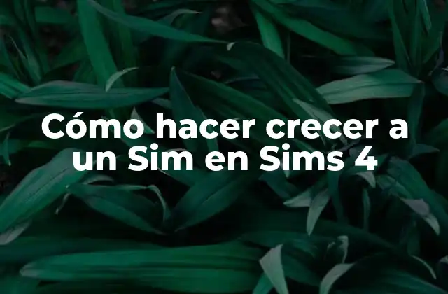 Cómo Hacer Crecer a un Sim en Sims 4
