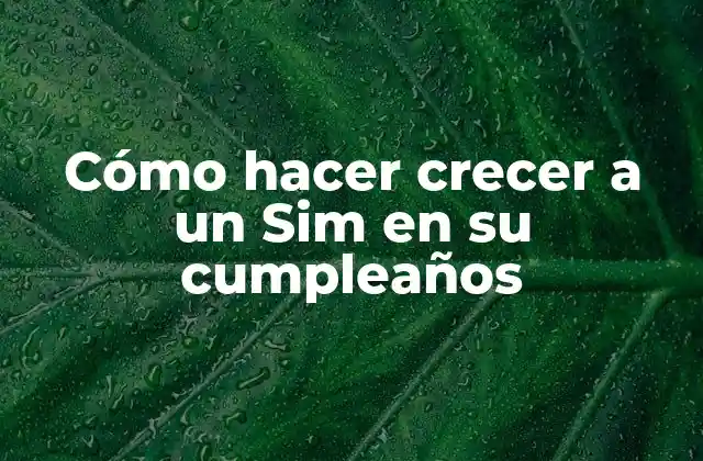 Cómo Hacer Crecer a un Sim en Su Cumpleaños