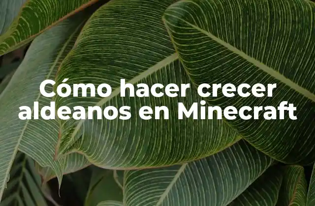 Cómo Hacer Crecer Aldeanos en Minecraft