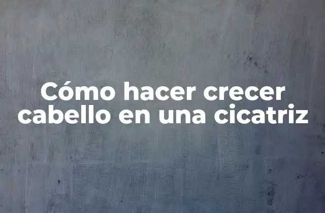 Cómo Hacer Crecer Cabello en una Cicatriz