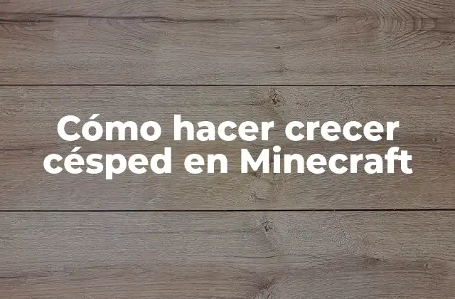 Cómo Hacer Crecer Césped en Minecraft