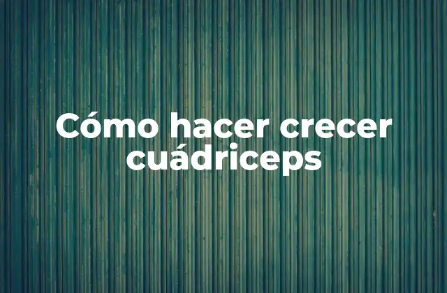 Cómo Hacer Crecer Cuádriceps