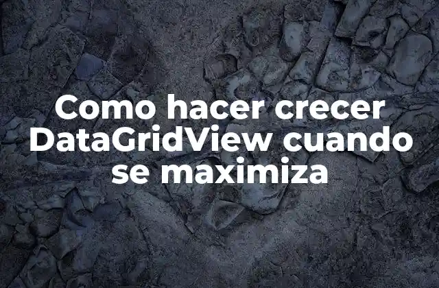 Como Hacer Crecer Datagridview Cuando Se Maximiza
