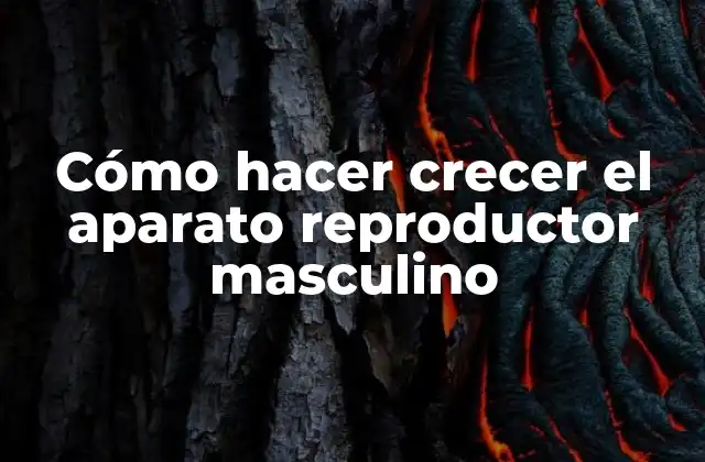 Cómo Hacer Crecer el Aparato Reproductor Masculino