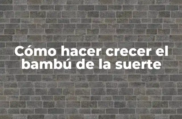 Cómo Hacer Crecer el Bambú de la Suerte
