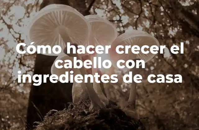 Cómo Hacer Crecer el Cabello con Ingredientes de Casa 2 Ingredientes naturales para hacer crecer el cabello