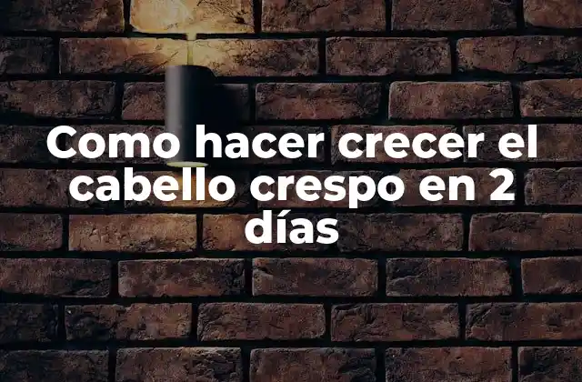 Como Hacer Crecer el Cabello Crespo en 2 Días