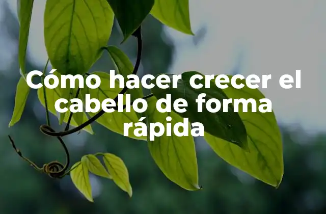 Cómo hacer crecer el cabello de forma rápida