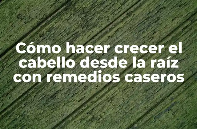 Cómo Hacer Crecer el Cabello desde la Raíz con Remedios Caseros