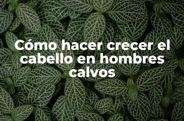 Cómo Hacer Crecer el Cabello en Hombres Calvos
