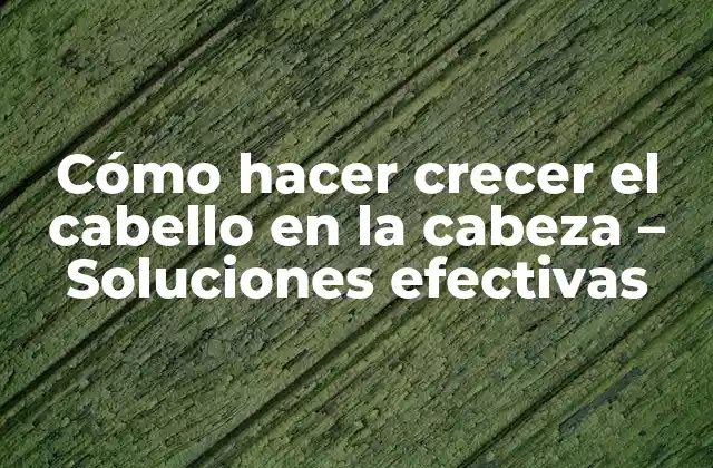 Cómo Hacer Crecer el Cabello en la Cabeza – Soluciones Efectivas