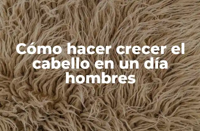 Cómo Hacer Crecer el Cabello en un Día Hombres