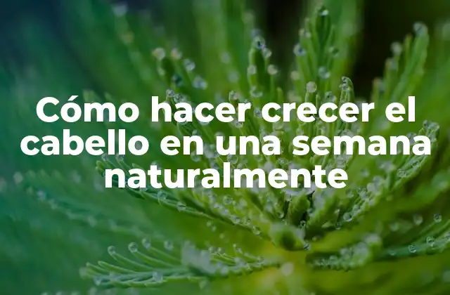 Cómo Hacer Crecer el Cabello en una Semana Naturalmente