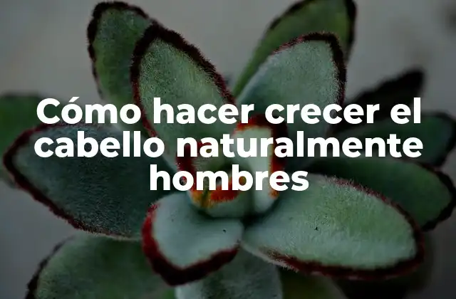 Cómo Hacer Crecer el Cabello Naturalmente Hombres