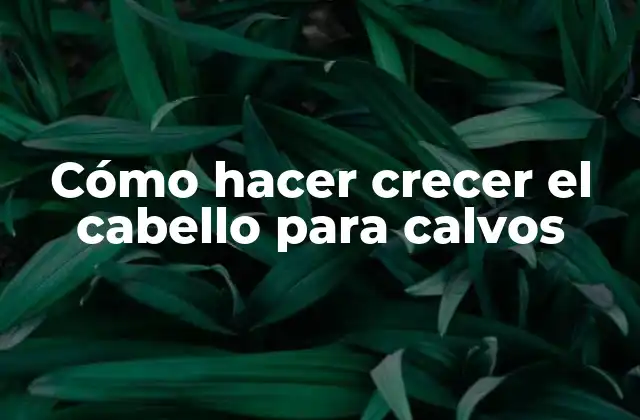 Cómo Hacer Crecer el Cabello para Calvos