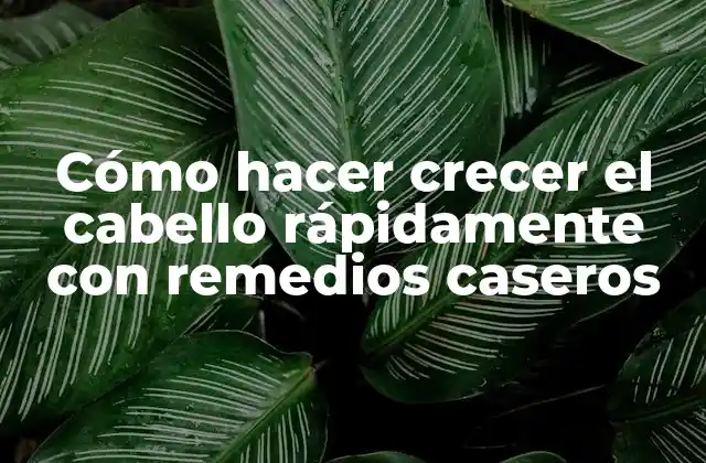 Cómo Hacer Crecer el Cabello Rápidamente con Remedios Caseros