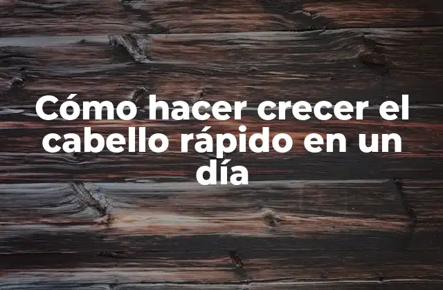 Cómo Hacer Crecer el Cabello Rápido en un Día