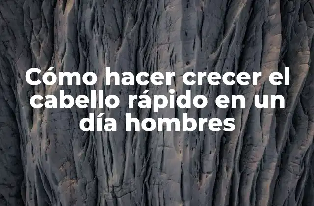 Cómo Hacer Crecer el Cabello Rápido en un Día Hombres