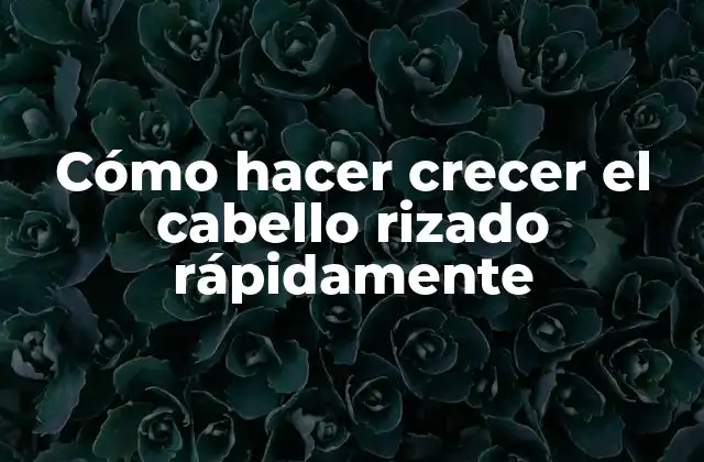Cómo Hacer Crecer el Cabello Rizado Rápidamente