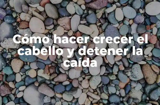 Cómo Hacer Crecer el Cabello y Detener la Caída