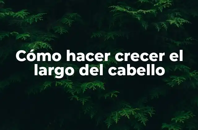 Cómo Hacer Crecer el Largo Del Cabello