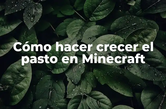 Cómo Hacer Crecer el Pasto en Minecraft
