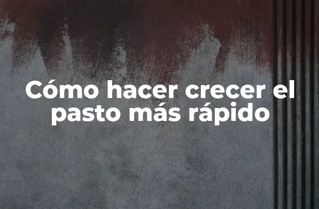 Cómo Hacer Crecer el Pasto Más Rápido