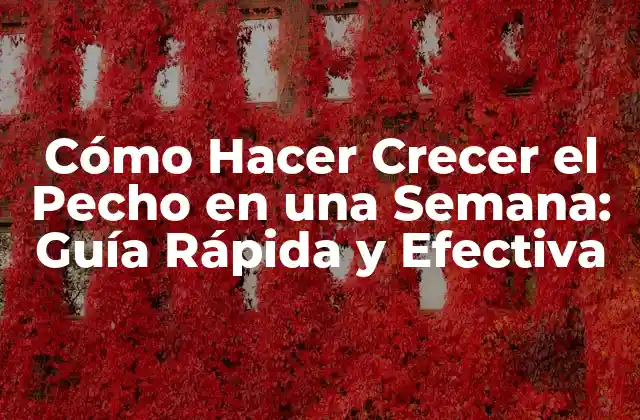 ¿Cuál es la Forma Más Efectiva de Hacer Crecer el Pecho en una Semana?