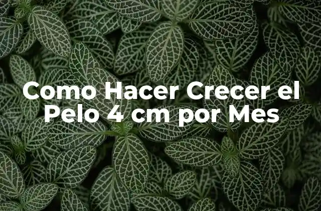 Como Hacer Crecer el Pelo 4 Cm por Mes