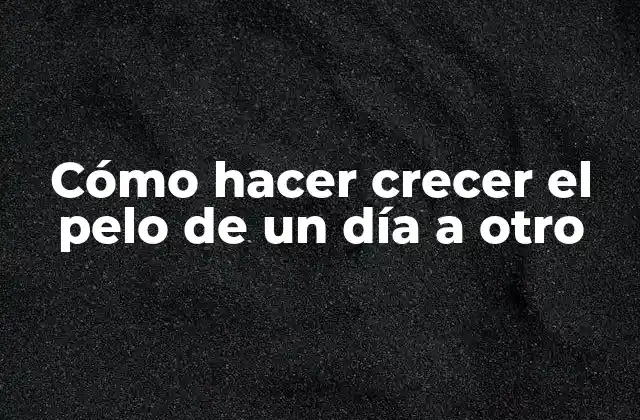 Cómo Hacer Crecer el Pelo de un Día a Otro