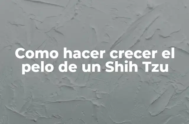 Como Hacer Crecer el Pelo de un Shih Tzu