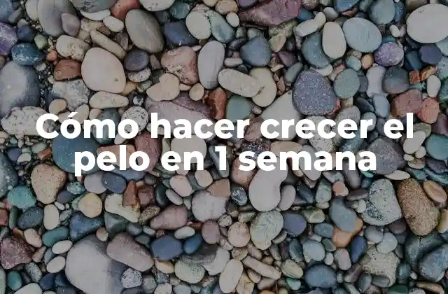 Cómo Hacer Crecer el Pelo en 1 Semana