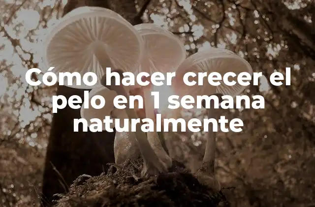 Cómo Hacer Crecer el Pelo en 1 Semana Naturalmente