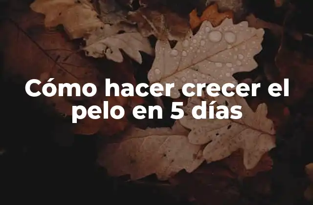 Cómo Hacer Crecer el Pelo en 5 Días