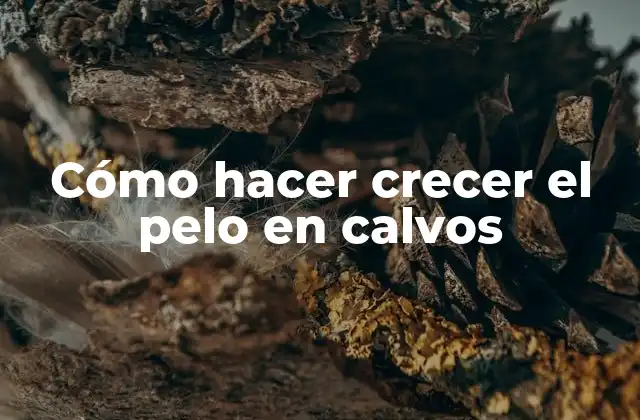 Cómo Hacer Crecer el Pelo en Calvos