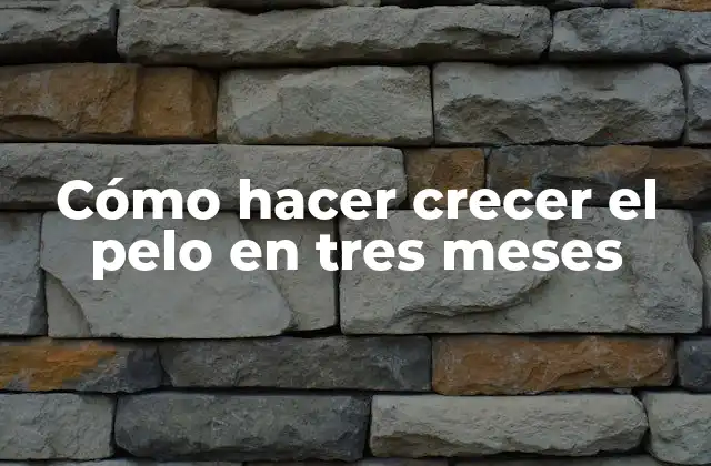 Cómo Hacer Crecer el Pelo en Tres Meses