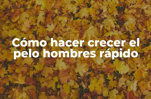 Cómo Hacer Crecer el Pelo Hombres Rápido