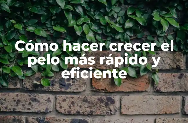 Cómo Hacer Crecer el Pelo Más Rápido y Eficiente