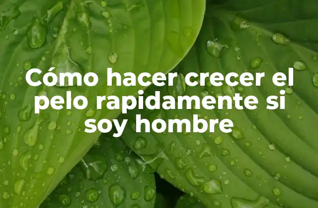 Cómo Hacer Crecer el Pelo Rapidamente Si Soy Hombre