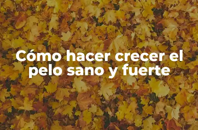 Cómo Hacer Crecer el Pelo Sano y Fuerte