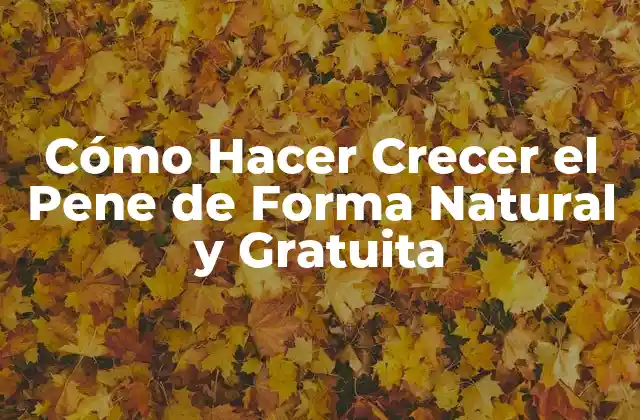 Cómo Hacer Crecer el Pene de Forma Natural y Gratuita