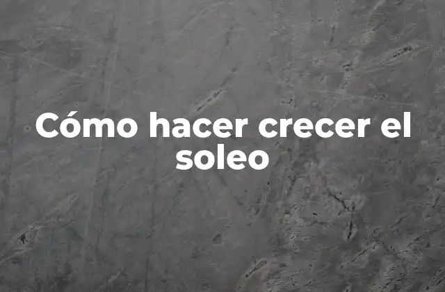 Cómo Hacer Crecer el Soleo
