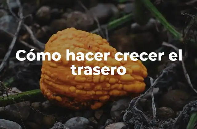 Cómo Hacer Crecer el Trasero
